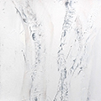 BirchDreams1