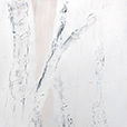 BirchDreams2