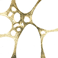 GraphicGold1