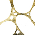 GraphicGold3
