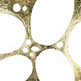 GraphicGold4