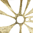 GraphicGold5