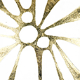 GraphicGold6