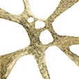 GraphicGold8