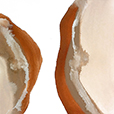 OrganicCurves1
