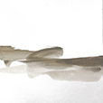 SimpleStroke3