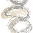 TexturalRings2