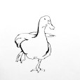 LineDuck2