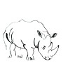 Rhino1