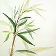 Motif Bamboo 3