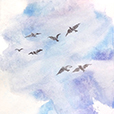 InFlight1
