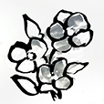 BoldGrey1