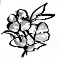 BoldGrey2