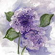 DimensionalHydrangea1