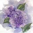 DimensionalHydrangea2