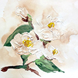 DimensionalMagnolia1
