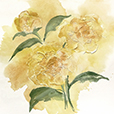 DimensionalPeony1