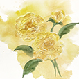 DimensionalPeony2