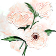 DimensionalPoppy1