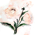 DimensionalPoppy2