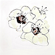IvoryPoppies1