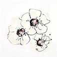 IvoryPoppies2