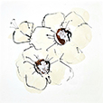 IvoryPoppies3