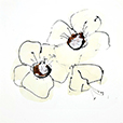IvoryPoppies4