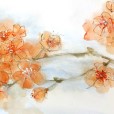 PeachBlossoms1