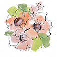 PinkCoral1