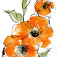 TexturedPoppy1