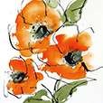 TexturedPoppy2