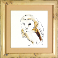 BarnOwl1