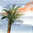 AfternoonPalm2