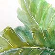 TropicalBanana Leaf 8