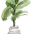 Biophilic1