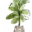 Biophilic2