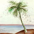 IslandPalm