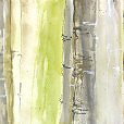 TexturedBirches1