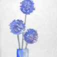 BlueAllium