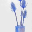 BlueThistle