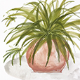 Sunroom3