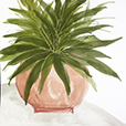 Sunroom4