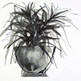 SunroomSketch1