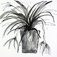 SunroomSketch2