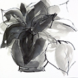 SunroomSketch3