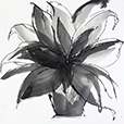 SunroomSketch4